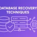 Database recovery techniques ensuring data integrity and system availability